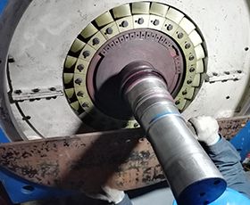 �L�C���S���S��λ�ޏ�